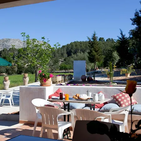 Tirana Villa Pollenca